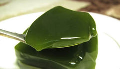 Bột thạch lá găng