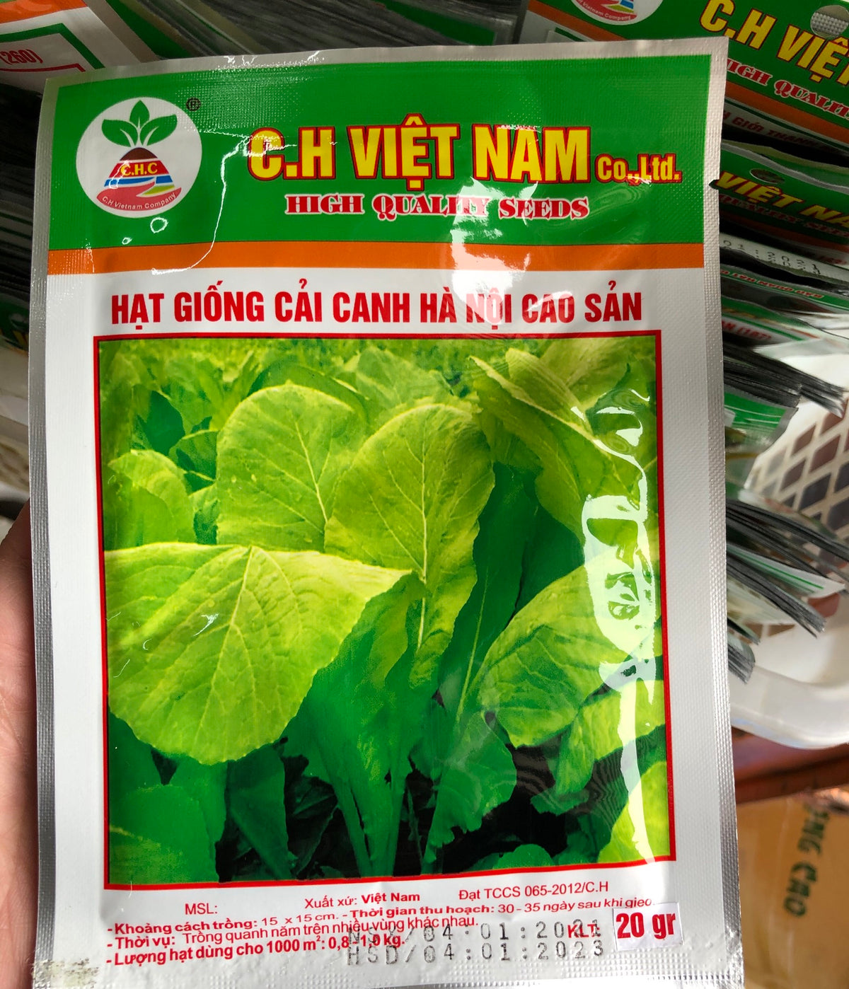 Hạt giống cải canh
