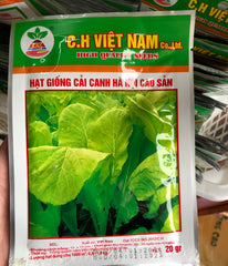 Hạt giống cải canh