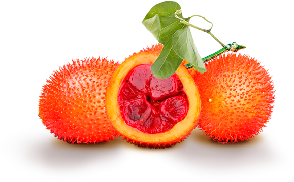 Quả gấc 1kg