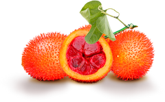 Quả gấc 1kg