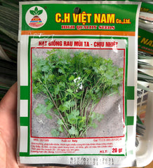 Hạt giống rau mùi ta