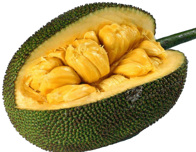 Mít tố nữ quả 2kg