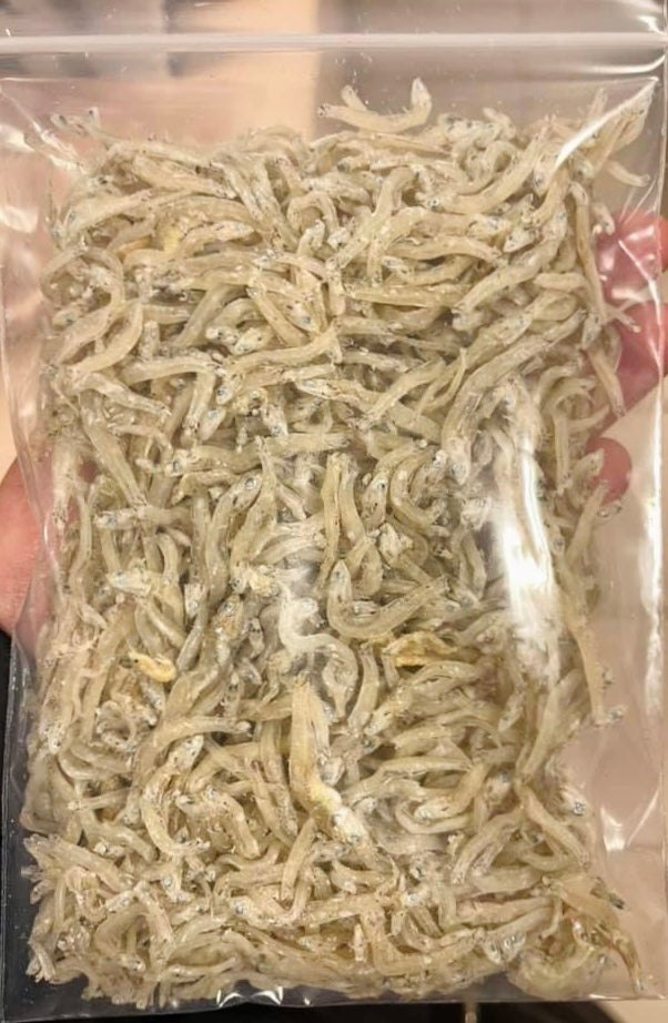CÁ MỜM SỮA