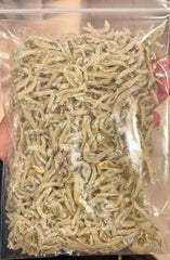 CÁ MỜM SỮA