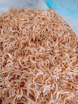 TÉP KHÔ NGHỆ AN