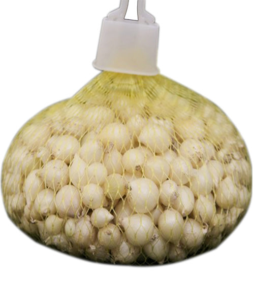 Hành tăm(củ nén) túi 300g
