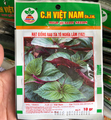 Hạt giống rau tía tô