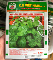 Hạt giống rau húng bạc hà