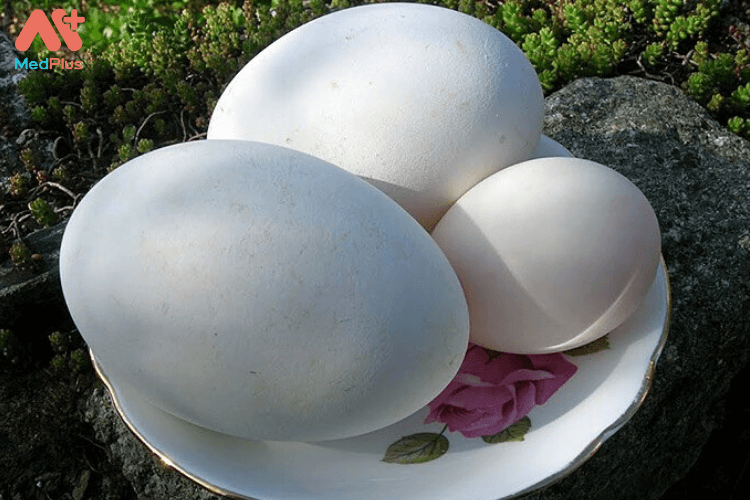 Trứng ngỗng 1 quả
