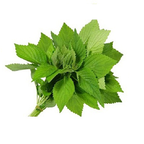 Rau Kinh Giới 1 bó 100g