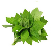 Rau Kinh Giới 1 bó 100g