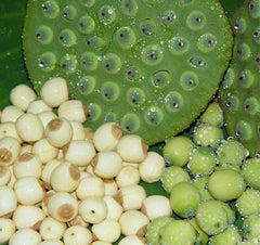 Hạt Sen VinaFood 150g