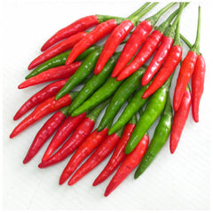 Ớt chỉ thiên gói 100g
