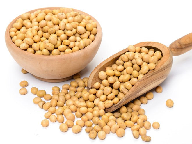Đậu tương làm đậu phụ 1kg